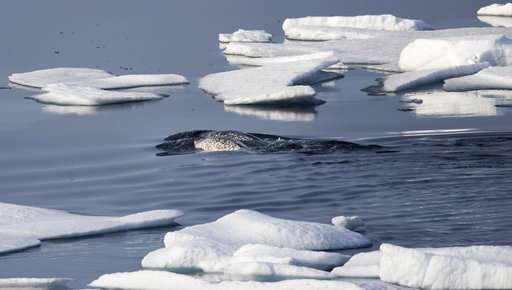 Warming Arctic spurs battles for riches, shipping routes