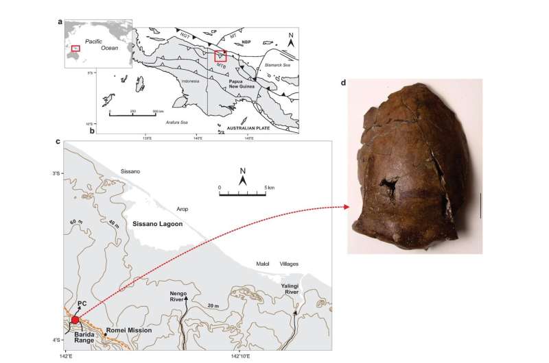 6,000-year-old skull could be from the world's earliest known tsunami victim