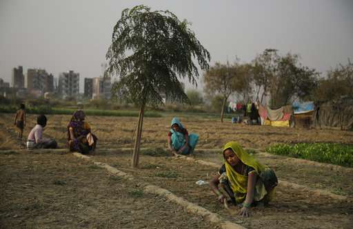 Farmer suicides rise in India as climate warms, study shows