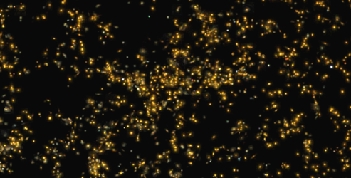 Researchers describe one of the most massive large-scale structures in the universe