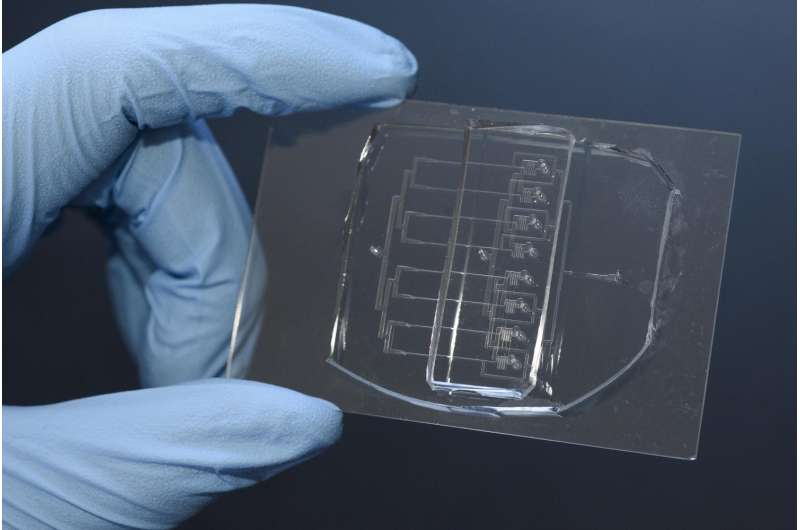 Stanford scientists create a cellular guillotine for studying single-cell wound repair