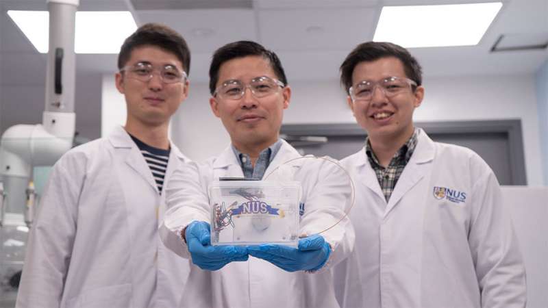 Scientists develop artificial photosynthesis device for greener ethylene production