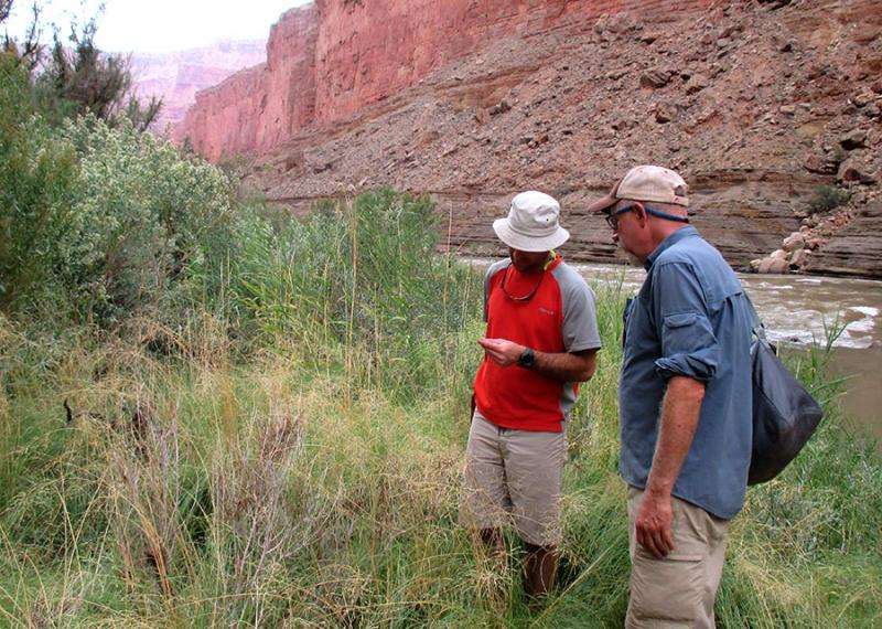 Research suggests climate change likely to cause significant shift in Grand Canyon vegetation