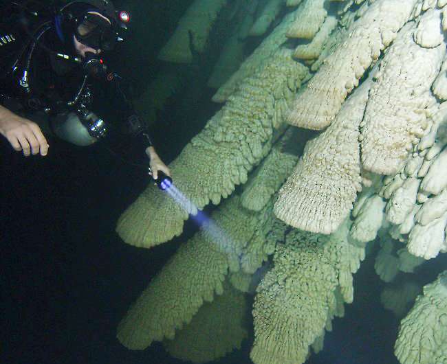 Researchers study unique underwater stalactites