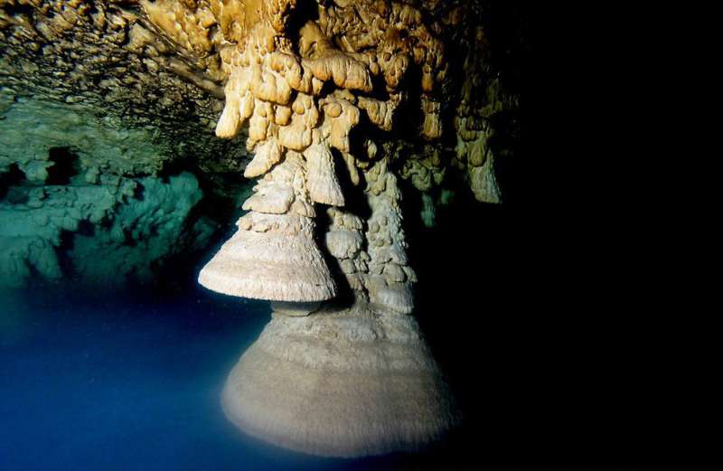 Researchers study unique underwater stalactites