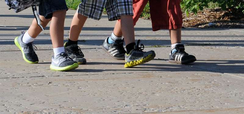 Air pollution exposure on home-to-school walking routes reduces the growth of working memory in children