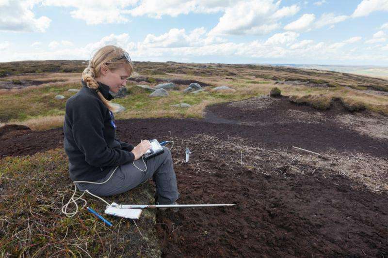 Conservation work is helping to protect our precious moorland