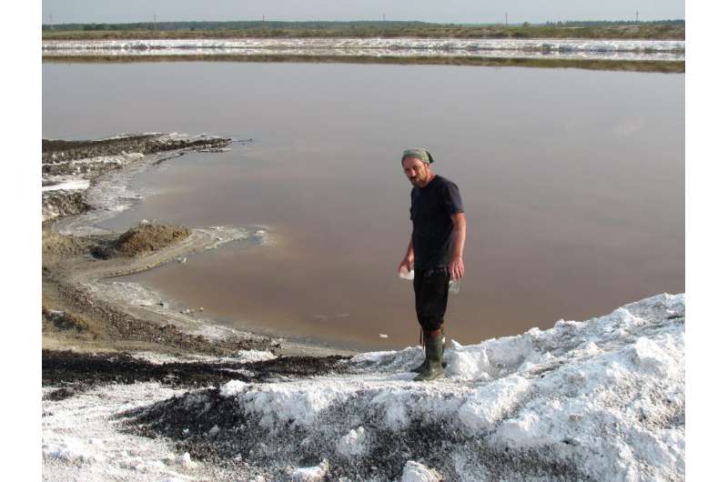 Newly discovered Siberian soda lake microorganisms convert organic material directly into methane
