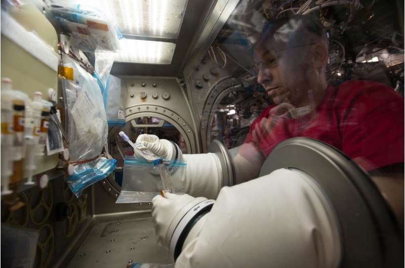 Space station crew takes a breather with lung tissue investigation