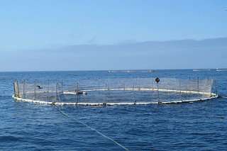 Climate change, population growth may lead to open ocean aquaculture