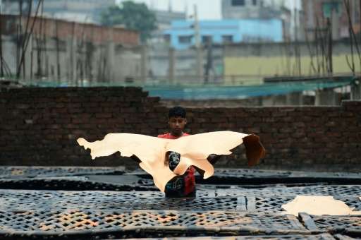 A Bangladeshi worker dries pieces of processed leather at a tannery in Dhaka