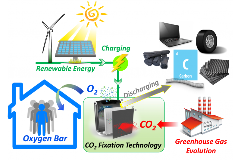 A battery-inspired strategy for carbon fixation