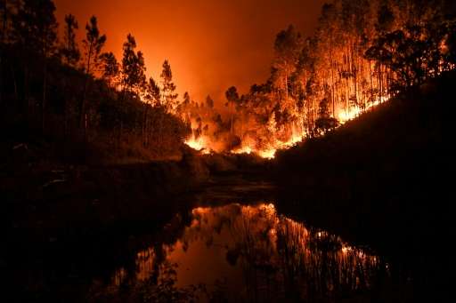 About 60 forest fires broke out in central Portugal, killing at least 62