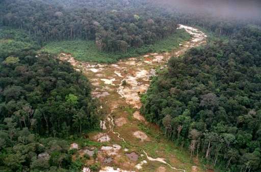 A deforested area in the Amazon rainforest