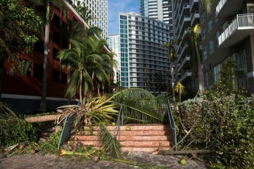 A downed tree caused by Hurricane Irma blocks a pedestrian walkway in downtown Miami, Florida, September 11, 2017.