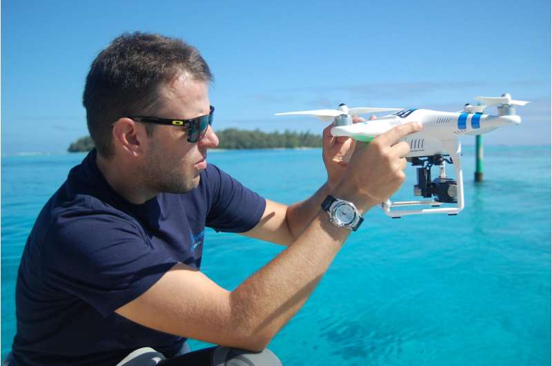 Aerial drones reveal sharks in shallow water