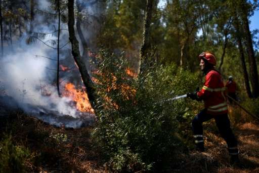 After an uncommonly dry winter and spring, almost 79 percent of the Portuguese mainland was enduring extreme or severe drought a