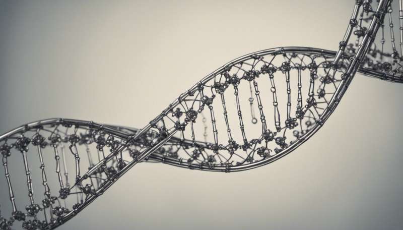 A hidden code in our DNA explains how new pieces of genes are made