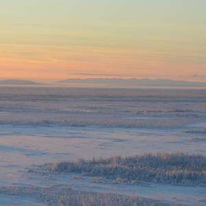 Alaska tundra source of early-winter carbon emissions (Update)