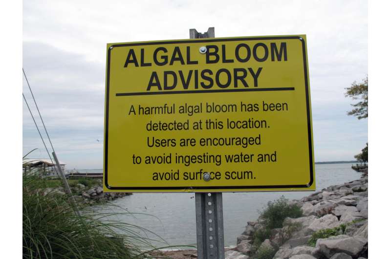 Algal blooms cost Ohio homeowners $152 million over six years