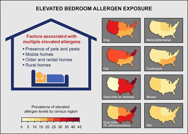 Allergens widespread in largest study of U.S. homes