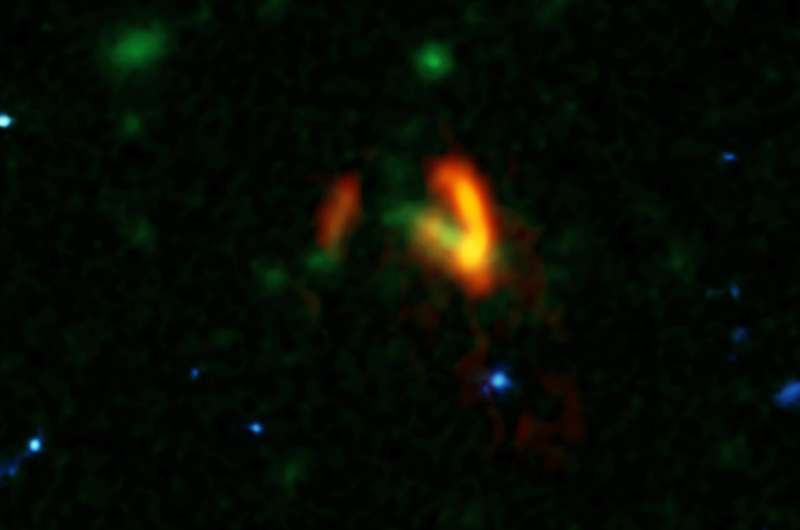 ALMA finds massive primordial galaxies swimming in vast ocean of dark matter
