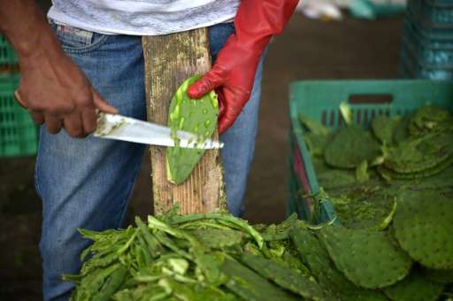 A man prepares nopal to be sold at the nopal market in Milpa Alta borough, Mexico City