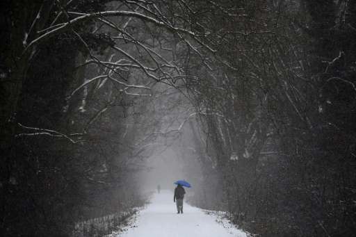 A man walks under snowfall in a forest in Strasbourg, eastern France, on January 10, 2017, as a cold wave hits most parts of Eur