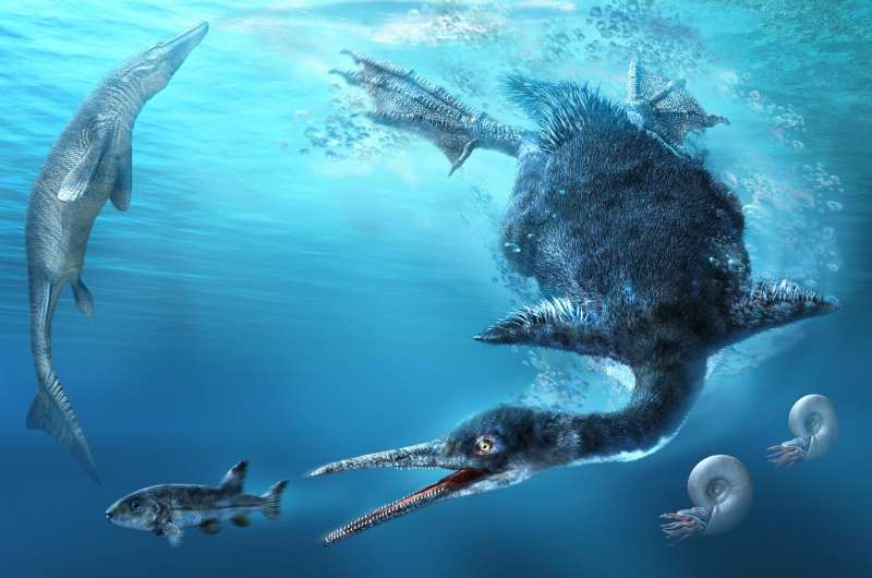 Amateur collectors in Japan discover country's first and oldest fossil diving bird
