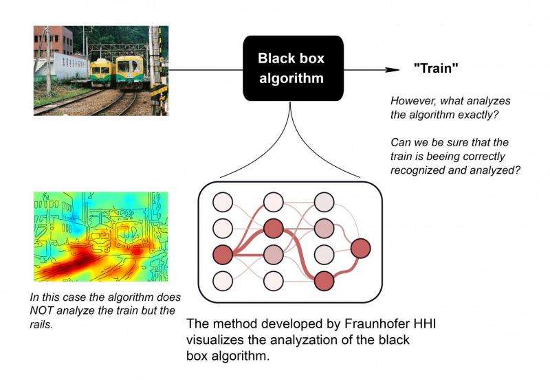 Analysis software uses algorithms to visualize complex learning processes