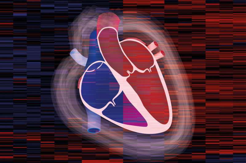 An atlas of the heart: Proteome of the human heart mapped for the first time