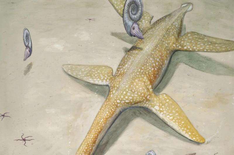 Ancestor of sea reptile super-predators found in Germany