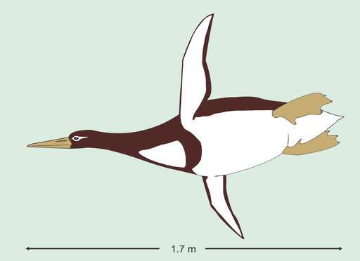 Ancient penguin was as big as a (human) Pittsburgh Penguin