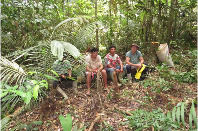 Ancient peoples shaped the Amazon rainforest