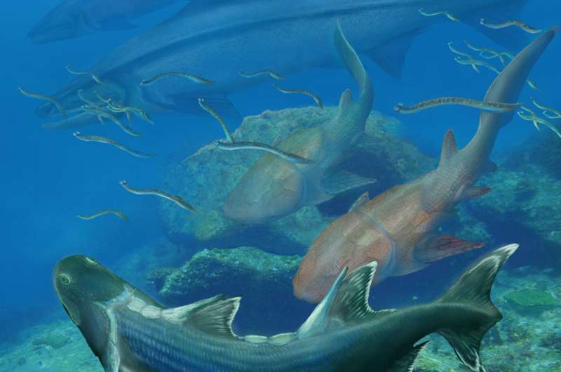 Ancient southern China fish may have evolved prior to the 'Age of Fish'
