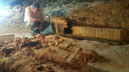 An Egyptian archaeologist inspects three mummies uncovered in an ancient tomb in the Draa Abul Naga necropolis in Luxor in a han