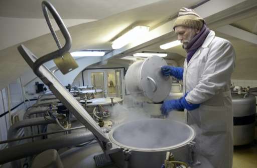 An employee of Russia's Institute of Plant Genetic Resources checks frozen seeds and grafts stored in metal vats in the institut