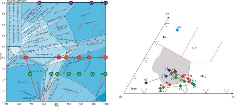 A new interpretation of petrogenesis of the early continental crust rock (trondhjemite) in the earth