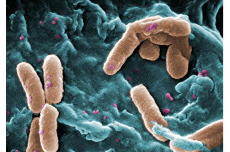 A new treatment for antibiotic resistant bacteria and infectious disease