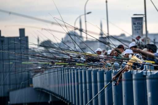 Anglers crammed shoulder-to-shoulder on the Galata Bridge and on the banks of the Bosphorus is one of the iconic images of Istan