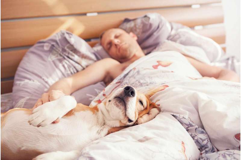 Are you barking up the wrong tree by sleeping with your dog?