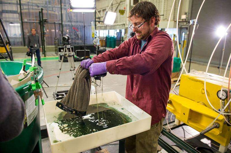 Argonne invents reusable sponge that soaks up oil, could revolutionize oil spill and diesel cleanup