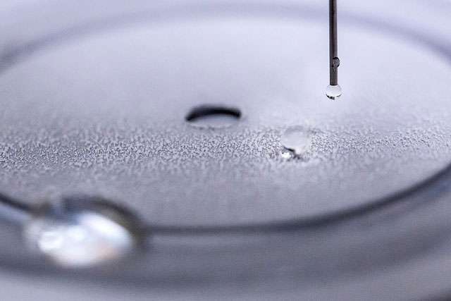 A self-healing, water-repellant coating that's ultra durable