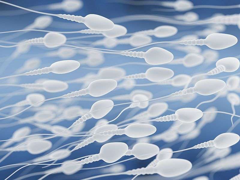 As men's weight rises, sperm health may fall