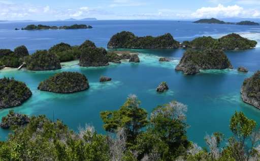 A tableau of white sandy beaches, colourful coral reefs and turquoise water, the islands of Raja Ampat are set to be Indonesia's