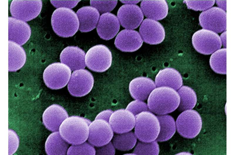 Atomic-level motion may drive bacteria's ability to evade immune system defenses