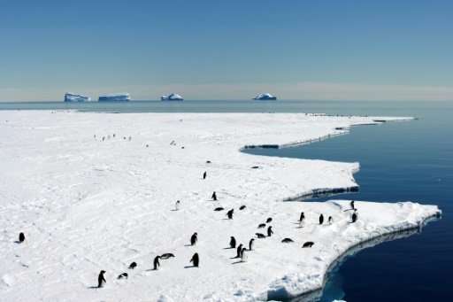 Australia and France kick off a fresh push to create a vast marine sanctuary in pristine East Antarctica