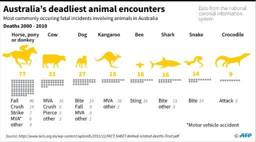 Australia's deadliest animal encounters