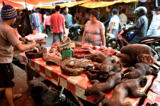 A vendor offers various exotic animals, including pythons and crested black macaques, to his customers at Tomohon market in nort