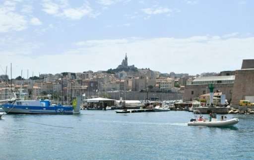 A whale seems to have swum into the old port of Marseille